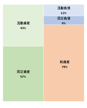 株式会社NIコンサルティング　第30期決算公告  　2021/03/30官報