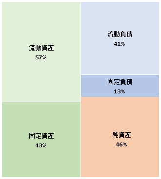 株式会社ムーンスター 第93期決算公告　2021/04/28官報