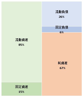 Arithmer株式会社  第13期決算公告　2021/06/28官報