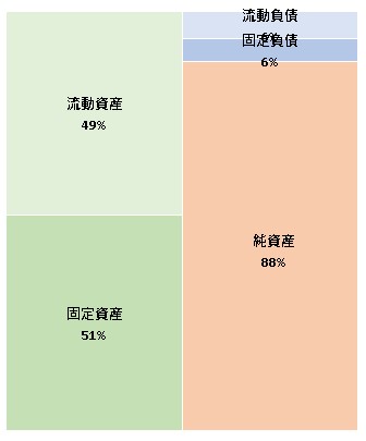 Terra Motors株式会社 第11期決算公告 2021/09/15官報